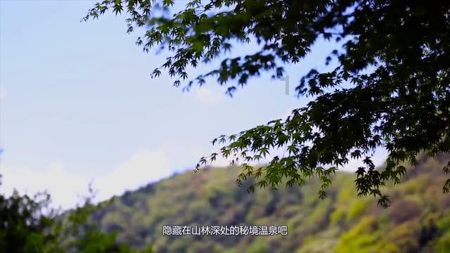 『优服务 促营商』孙吴县税务局“五上门”服务助力民营企业高质量发展